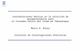 Consideraciones básicas en la selección de aerogeneradores para el Corredor Eólico del Istmo de Tehuantepec Marco A. Borja Instituto de Investigaciones.