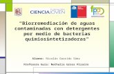 Biorremediación de aguas contaminadas con detergentes por medio de bacterias quimiosintetizadoras" Alumno: Nicolás Garrido Sáez Profesora Guía: Nathalie.