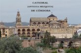 CATEDRAL (ANTIGUA MEZQUITA) DE CÓRDOBA LOS ORÍGENES Bajo toda catedral siempre hay un lecho de catedrales ocultas. En el caso de Córdoba la tradición.