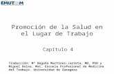 Promoción de la Salud en el Lugar de Trabajo Capítulo 4 Traducción: Mª Begoña Martínez-Jarreta, MD, PhD y Miguel Bolea, MsC. Escuela Profesional de Medicina.