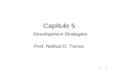 1 1 Capítulo 5 Development Strategies Prof. Nelliud D. Torres.