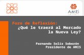 1 Foro de Reflexión: ¿Qué le traerá al Mercado la Nueva Ley? Fernando Solís Soberón Presidente de AMIS.