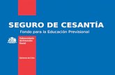 SEGURO DE CESANTÍA Fondo para la Educación Previsional.