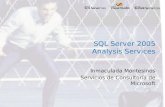 Inmaculada Montesinos Servicios de Consultoría de Microsoft SQL Server 2005 Analysis Services.