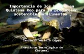 Importancia de los hongos en Quintana Roo para la producción sostenible de alimentos Caribell Yuridia López Instituto Tecnológico de Chetumal.
