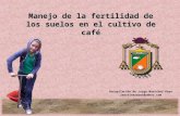 Manejo de la fertilidad de los suelos en el cultivo de café Recopilación de Jorge Martínez Rayo jmartinazaret@yahoo.com.