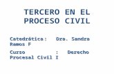 TERCERO EN EL PROCESO CIVIL Catedrática: Dra. Sandra Ramos F Curso : Derecho Procesal Civil I.