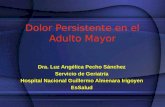 Dolor Persistente en el Adulto Mayor Dra. Luz Angélica Pecho Sánchez Servicio de Geriatría Hospital Nacional Guillermo Almenara Irigoyen EsSalud.