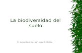 La biodiversidad del suelo En recuerdo al Ing. Agr. Jorge S. Molina.