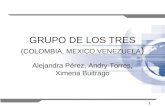 1 GRUPO DE LOS TRES (COLOMBIA, MEXICO,VENEZUELA ) Alejandra Pérez, Andry Torres, Ximena Buitrago.