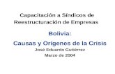 Capacitación a Síndicos de Reestructuración de Empresas Bolivia: Causas y Orígenes de la Crisis José Eduardo Gutiérrez Marzo de 2004.