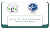 Instituto Tecnológico Superior de Santiago Papasquiaro.