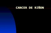 CANCER DE RIÑON. Introducción Representa 2-3 % de todo tipo de cáncer. El tipo más frecuente de lesión solida. 1,5- 1 + frecuente en hombres. Pico de.