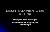 DESPRENDIMIENTO DE RETINA Freddy Guerra Paniagua Docente titular asignatura Oftalmología.