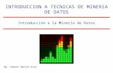Introducción a la Minería de Datos INTRODUCCION A TECNICAS DE MINERIA DE DATOS Mg. Samuel Oporto Díaz.