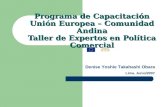 Programa de Capacitación Unión Europea – Comunidad Andina Taller de Expertos en Política Comercial Denise Yoshie Takahashi Obara Lima, Junio/2007.
