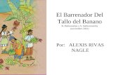 El Barrenador Del Tallo del Banano B. Padmanaban y S. Sathiamoorthy (noviembre 2001) Por: ALEXIS RIVAS NAGLE.
