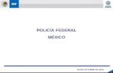1 POLICÍA FEDERAL MÉXICO 19 DE OCTUBRE DE 2010. 2 ESTRUCTURA ORGÁNICA 19 DE OCTUBRE DE 2010.