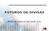 FUTUROS DE DIVISAS Bolsa de Valores Nacional, S.A.