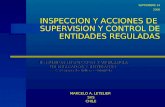INSPECCION Y ACCIONES DE SUPERVISION Y CONTROL DE ENTIDADES REGULADAS II REUNION INSPECCION Y VIGILANCIA DE MERCADOS Y ENTIDADES Cartagena de Indias -