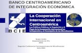 La Cooperación Internacional en Centroamérica Las Políticas Públicas, la Regulación y el Papel de la Cooperación Internacional en la Expansión y el Desempeño.