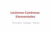 Viviana Vargas Salas. Contenido Clasificación Lesiones cutáneas Primarias Lesiones cutáneas Secundarias Patrón de disposición y distribución.