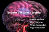Evento Vascular Cerebral Natalia Azofeifa Allan Céspedes Álvaro Hernández Jorge Hernández.