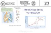 Mecánica de la ventilación Dra. Adriana Suárez MSc. Profesora Asociada.