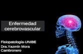 Enfermedad cerebrovascular Fisiopatología-UNIBE Dra.Yazmín Mora Cambronero.