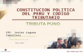 Www.ladersam.com CPC. Javier Laguna Caballero CONSTITUCION POLITICA DEL PERU Y CODIGO TRIBUTARIO  jlc@lagunacaballeroabogados.com jlaguna@ladersam.com.