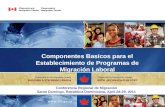 Componentes Basicos para el Establecimiento de Programas de Migración Laboral Conferencia Regional de Migración Santo Domingo, República Dominicana, April.