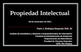 Propiedad Intelectual Pedro J. Rodríguez Esquerdo, PhD, JD Instituto de Estadística y Sistemas Computadorizados de Información Facultad de Administración.