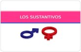 LOS SUSTANTIVOS. En Español casi todos los sustantivos tienen un género: masculino o feminino. He aquí algunas claves para reconocer el género de los.