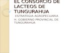 EL CONSORCIO DE LACTEOS DE TUNGURAHUA ESTRATEGIA AGROPECUARIA H. GOBIERNO PROVINCIAL DE TUNGURAHUA.
