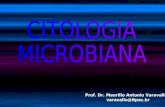 3 - Citologia Microbiana