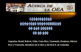 Argentina, Brasil, Bolivia, Chile, Costa Rica, Guatemala, Honduras, México Perú y Venezuela. Miembros de la OEA y del M.E.N. de Colombia.