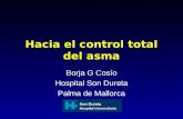 Hacia el control total del asma Borja G Cosío Hospital Son Dureta Palma de Mallorca Son Dureta Hospital Universitario.
