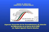 UNIDAD DE PRÁCTICAS COMERCIALES INTERNACIONALES Aspectos Generales de los Procedimientos de Solución de Diferencias en el marco de la OMC Lic. Rafael Agustín.