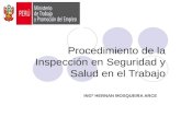 Procedimiento de la Inspección en Seguridad y Salud en el Trabajo INGº HERNAN MOSQUEIRA ARCE.