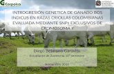 INTROGRESIÓN GENETICA DE GANADO BOS INDICUS EN RAZAS