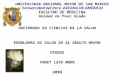 UNIVERSIDAD NACIONAL MAYOR DE SAN MARCOS (Universidad del Perú, DECANA DE AMÉRICA) FACULTAD DE MEDICINA Unidad de Post Grado DOCTORADO EN CIENCIAS DE LA.