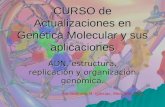 CURSO de Actualizaciones en Genética Molecular y sus aplicaciones ADN, estructura, replicación y organización genómica. Por Gabriela M. Iglesias, Med.
