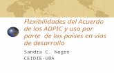 Flexibilidades del Acuerdo de los ADPIC y uso por parte de los países en vías de desarrollo Sandra C. Negro CEIDIE-UBA.