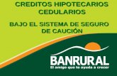 CREDITOS HIPOTECARIOS CEDULARIOS CREDITOS HIPOTECARIOS CEDULARIOS BAJO EL SISTEMA DE SEGURO DE CAUCIÓN BAJO EL SISTEMA DE SEGURO DE CAUCIÓN.