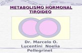 METABOLISMO HORMONAL TIROIDEO Dr. Marcelo O. Lucentini Noelia Pellegrinet.