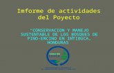 Imforme de actividades del Poyecto CONSERVACION Y MANEJO SUSTENTABLE DE LOS BOSQUES DE PINO-ENCINO EN INTIBUCA, HONDURAS.