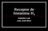 Receptor de histamina H 3 Gabriela Leal Juan José Mora.