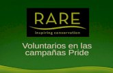 Voluntarios en las campañas Pride. Construyendo la sostenibilidad UNA HISTORIA DE ÉXITO.
