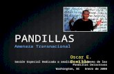 PANDILLAS Amenaza Transnacional Oscar E. Bonilla Sesión Especial Dedicada a analizar el Fenómeno de las Pandillas Delictivas Washington, DC Enero de 2008.