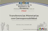 PROGRAMA INTEGRAL DE PROTECCION SOCIAL PROGRAMA DE ASIGNACION FAMILIAR Presidencia de la República de Honduras PRAF Transferencias Monetarias con Corresponsabilidad.